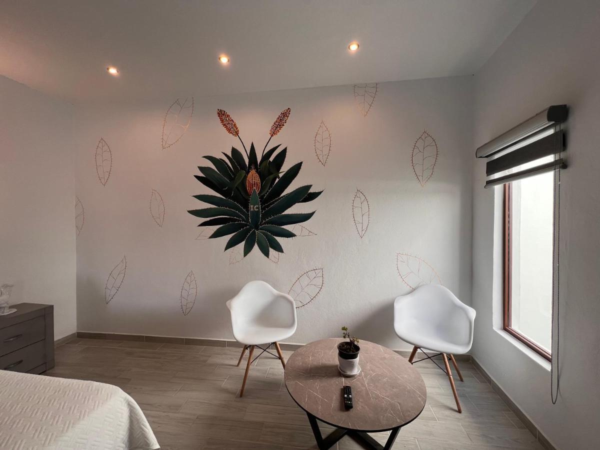 מלון טקילה Casa Clementina מראה חיצוני תמונה